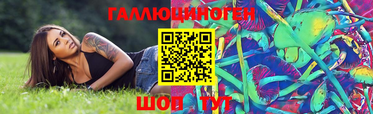 Галлюциногенные грибы Psilocybine cubensis Лабинск